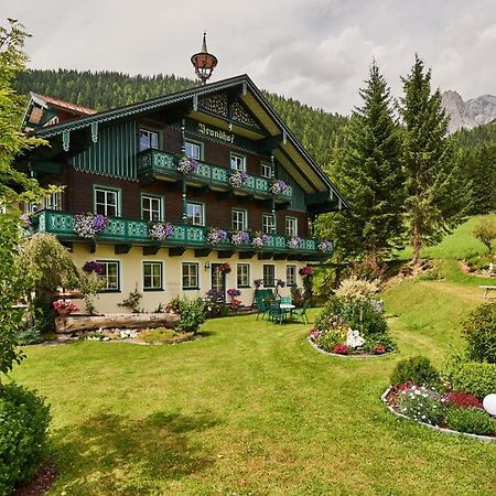 Brandhof Lägenhet Ramsau am Dachstein Exteriör bild
