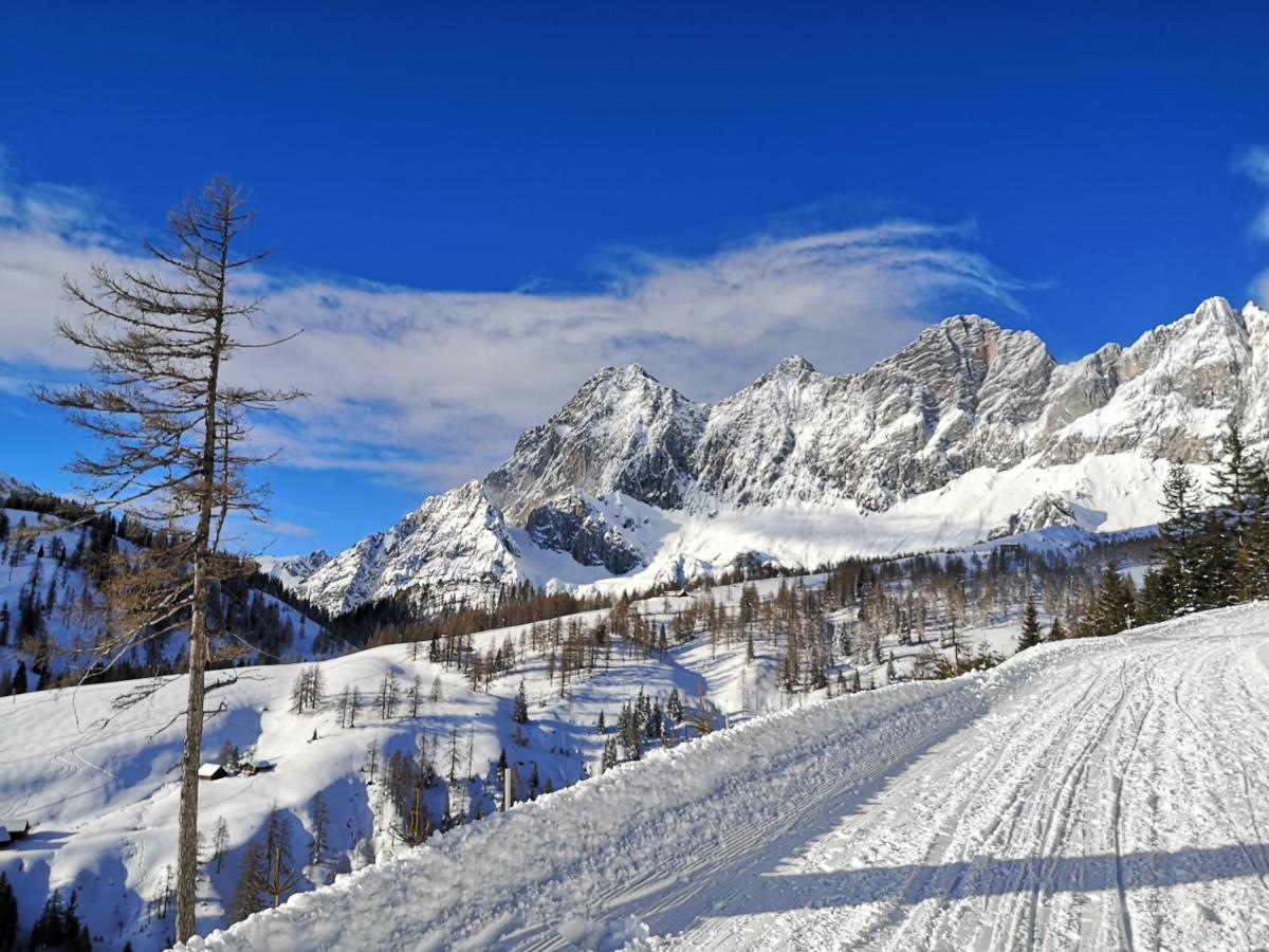 Brandhof Lägenhet Ramsau am Dachstein Exteriör bild